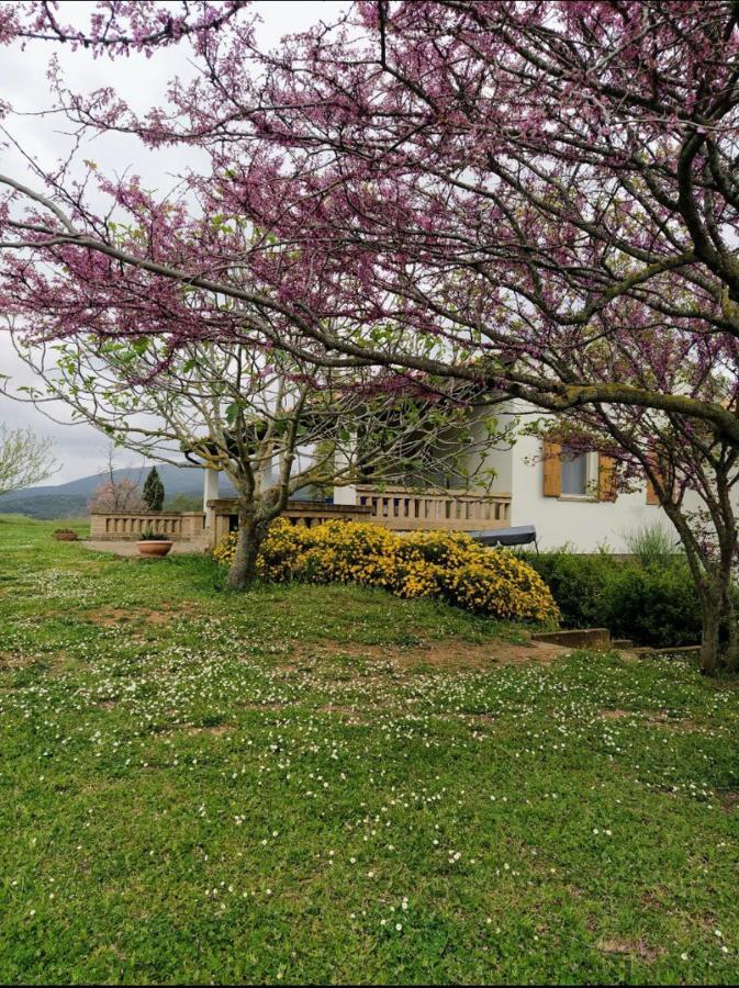 Casale Artemisia Capalbio Bed and Breakfast Exteriör bild